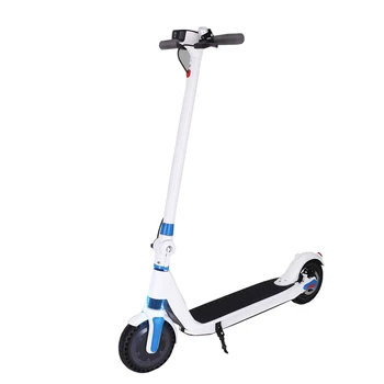 

2020 New Designed Folding Adult 300W 6A APP Kick E scooter
