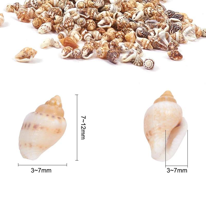 Крошечный Sea Shell океанический пляж спираль ракушки Craft талисманы украшение дома