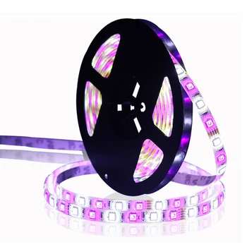

LED Lights With 5050RGBW Epoxy Waterproof Colorful Plus White Light Super Bright 12V Flexible Light Bar For Decorative Lights