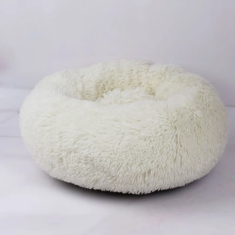 QQ图片20190806111055_副本