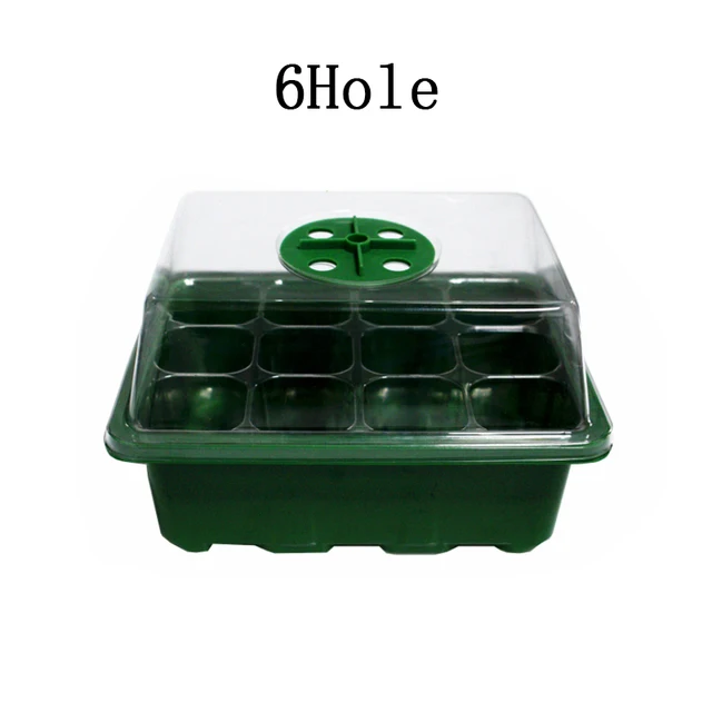 Green 6Holes