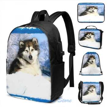 

Funny Graphic print Alaskan Malamute Dog USB Charge Backpack men School bags Women bag Travel laptop bag