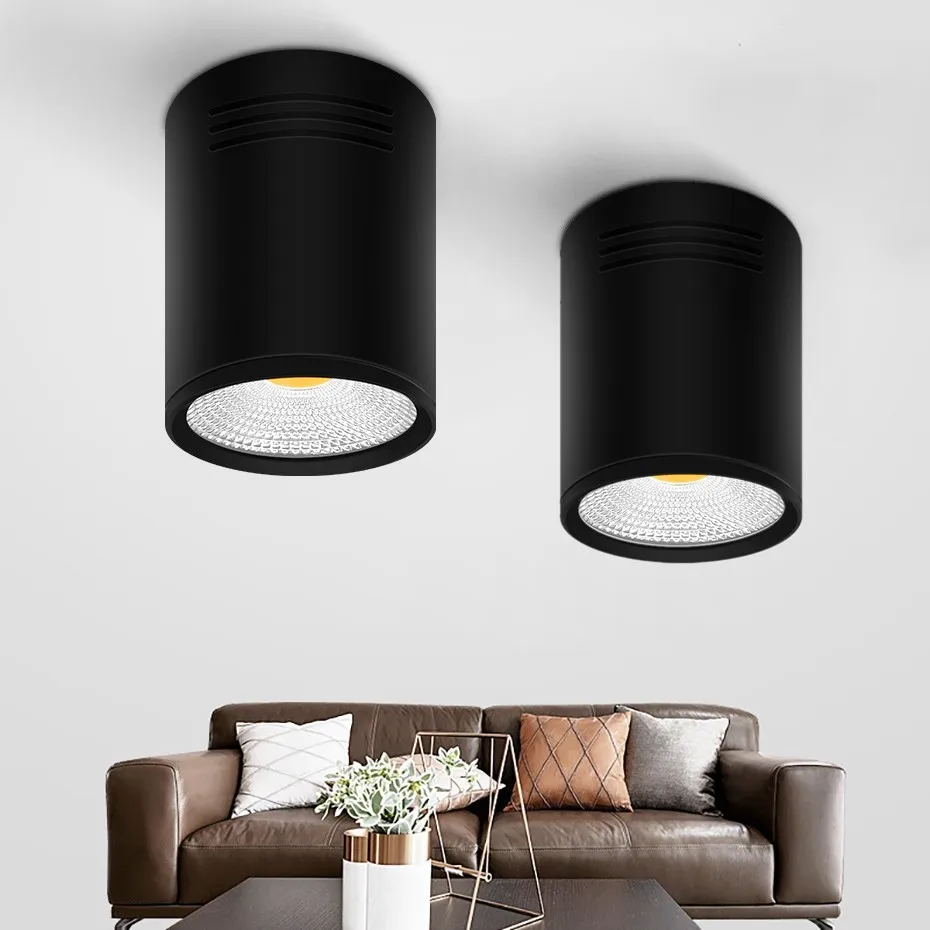 Led Downlight Led Surface Mounted Spot Light COB Chip Dimmable 3W 5W 7W 10W Ceiling Lamp For Living Room Bedroom Store Lighting