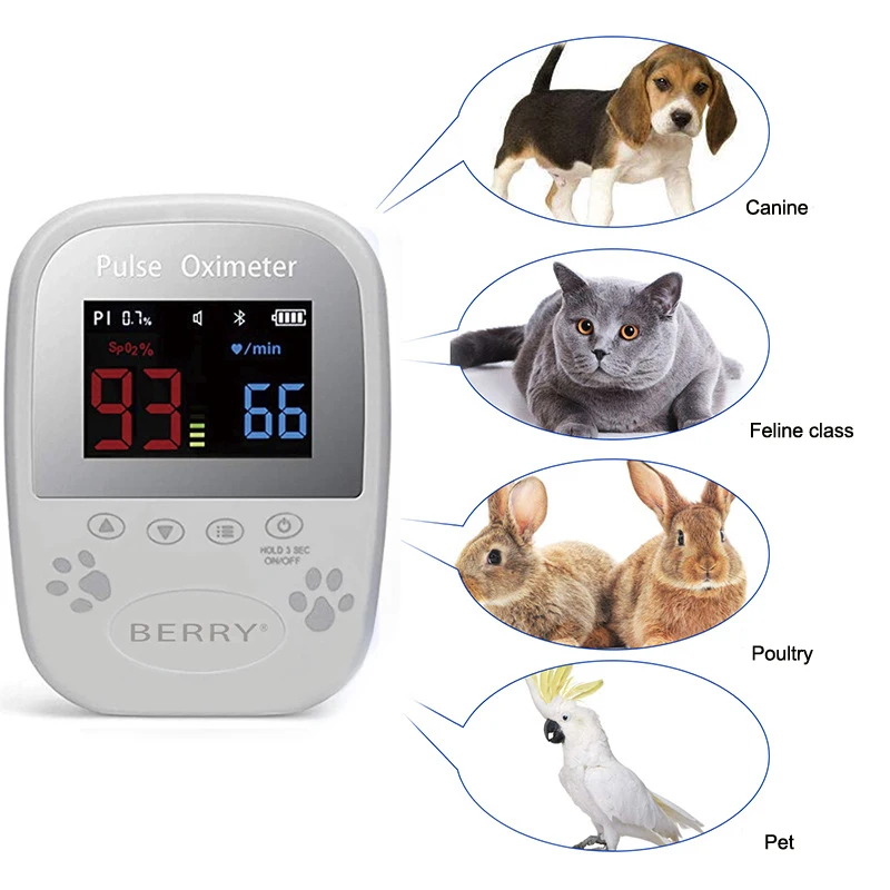 Портативный питомец Пульс кислорода в крови ЭКГ кровяное давление дыхательный детектор температуры тела Bluetooth ветеринарное оборудование для животных