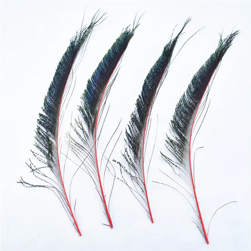 10Pcs/lot Natural Dyed Peacock Feathers for Crafts