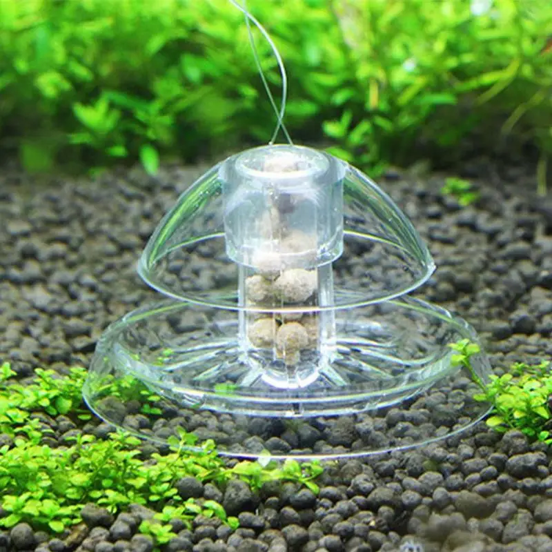 Прозрачно белый ловушка для улитки Ловец растения Planarian вредителей поймать