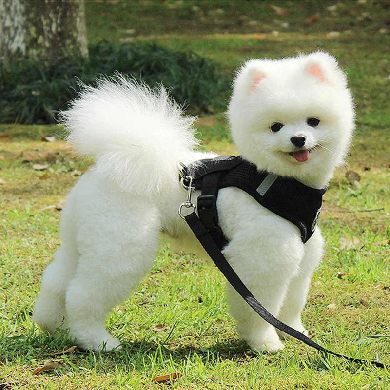 Dog Harness And Leash Set Mesh Pet Dog Accessories Puppy Dogs Cat Harness Vest Pet Supplies Chihuahua Yorkshire Terrier Pitbull pet harness leash set pet harness set pet leash set