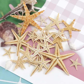

1BOX 1-5CM Dried Natural Starfish Decoration Accessories DIY Crafts Jewelry Making