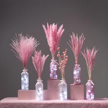

Dried Pampas Grass Small Reed Cute Pink Room Decor Plant Dry Flower Bouquet Cheap Goods Chic Romantic Wedding Party Decoration