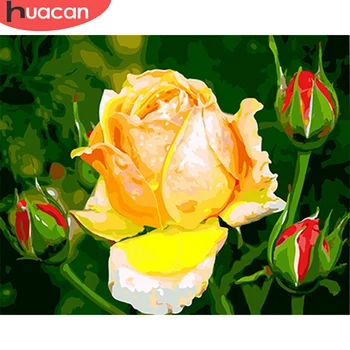 

HUACAN Paint By Number Rose Drawing On Canvas HandPainted Painting Art Gift DIY Pictures By Number Flower Kits Home Decor