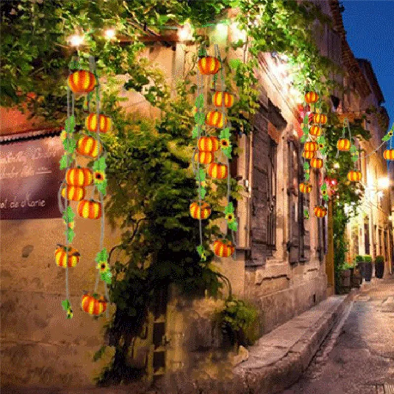 ZQQ90902124_0516008282824284627