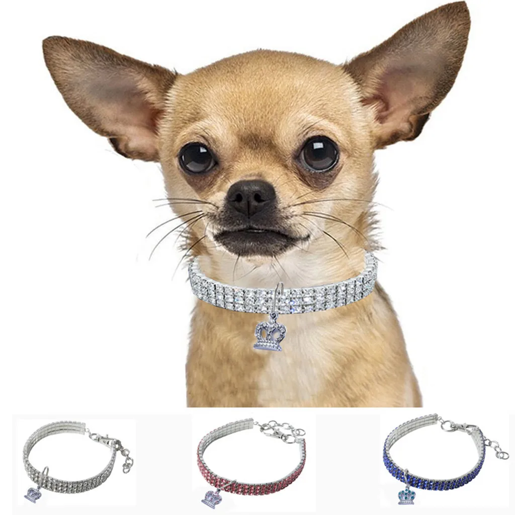 Ошейник &quotocardian" для собак ошейник со стразами регулируемый с короной perro coleira