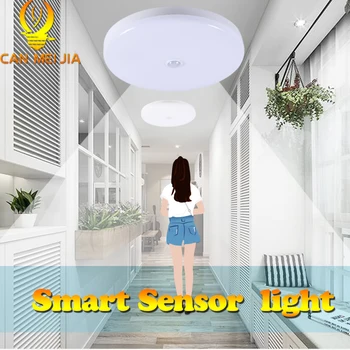 

Led Ceiling Lights 220V 12W 18W 50W 20W Ceiling Lamp with Motion Sensor Lighting Fixture Mount For Living Room Bedroom