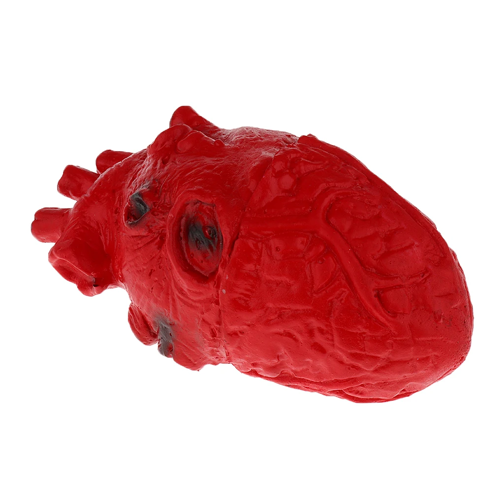 HUMAN HEART--Chop Shop Body Part Organ Halloween Horror Prop Decorations