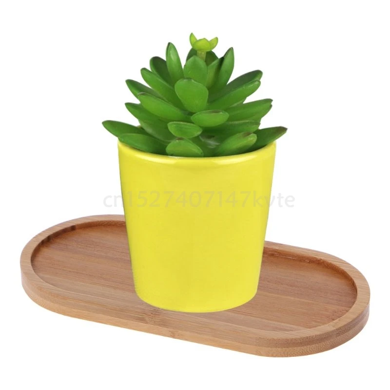 Oval-Shape-Bamboo-Wood-Saucer-Plant-Tray-Mini-Plant-Flower-Pot-Stand-Favor-Succulent-Pot-Tray.jpg Ovális Formájú Bambusz Fa Csészealj Növényi Tálca Mini Pot Állványa Kedvelt Zamatos Edény Egyszerű, Elegáns Dizájn Dekoráció - Image 2