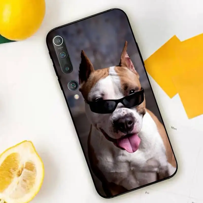 TOPLBPCS питбулл прекрасный Собака Мягкий чехол для телефона Капа Xiaomi mi 5 6 plus 6x8 8se 8lite 9
