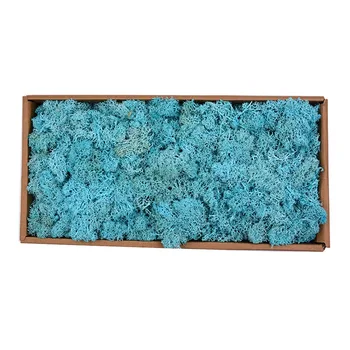 

NEW 500g/Box Moss Plant Flowers Long Lasting Preserved Dried Craft Flower DIY Home Wedding Party Decor