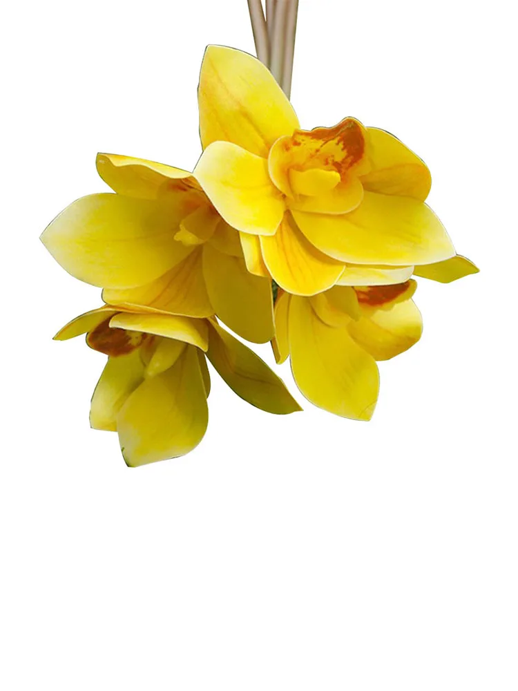 YYPA0091-1-YYPA0091-6-CS