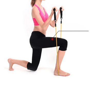 

Resistance Bands Strength Workout Tube Bands Exercise Cords Chest Expander Pull Stretcher for Home Gym Exercise