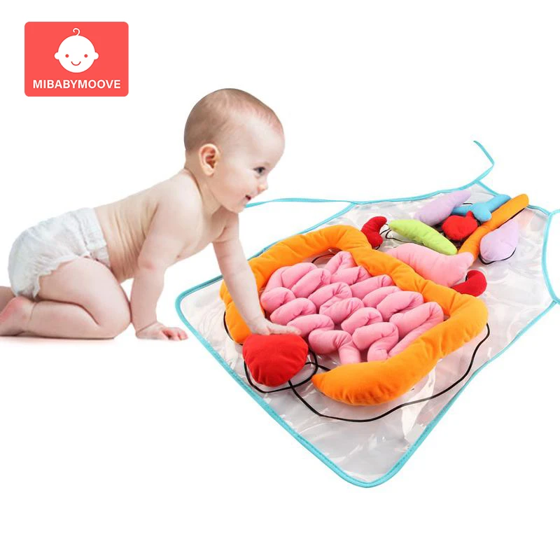 3D игрушки для органов человеческого тела с фартуком, обучающая посуда для органов тела, обучающая игрушка для детей раннего возраста
