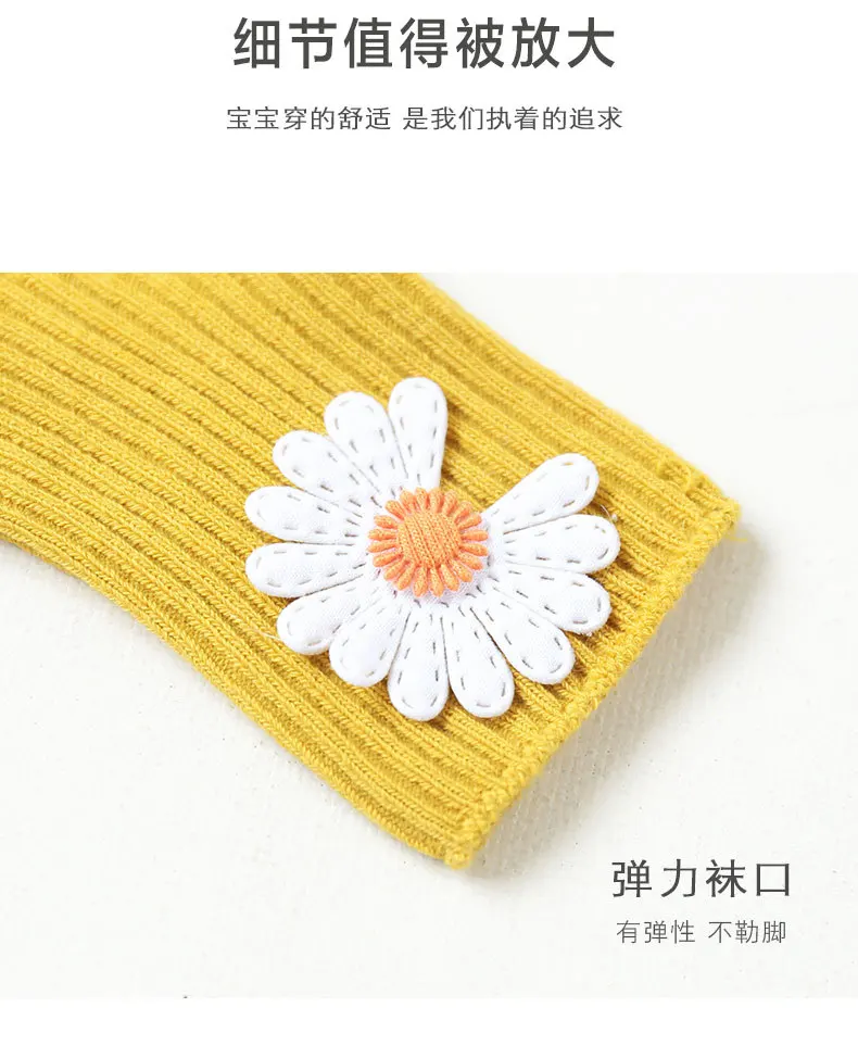 雏菊_08.jpg
