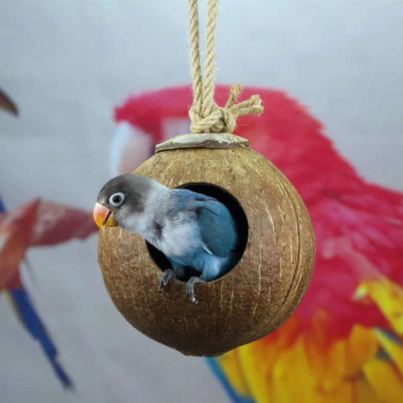 

Pure Natural Coconut Shell Bird Nest Coconut Shell Nest Parrot Coconut Nest Bird Nest Bird Summer Bird Nest Parrot Toy