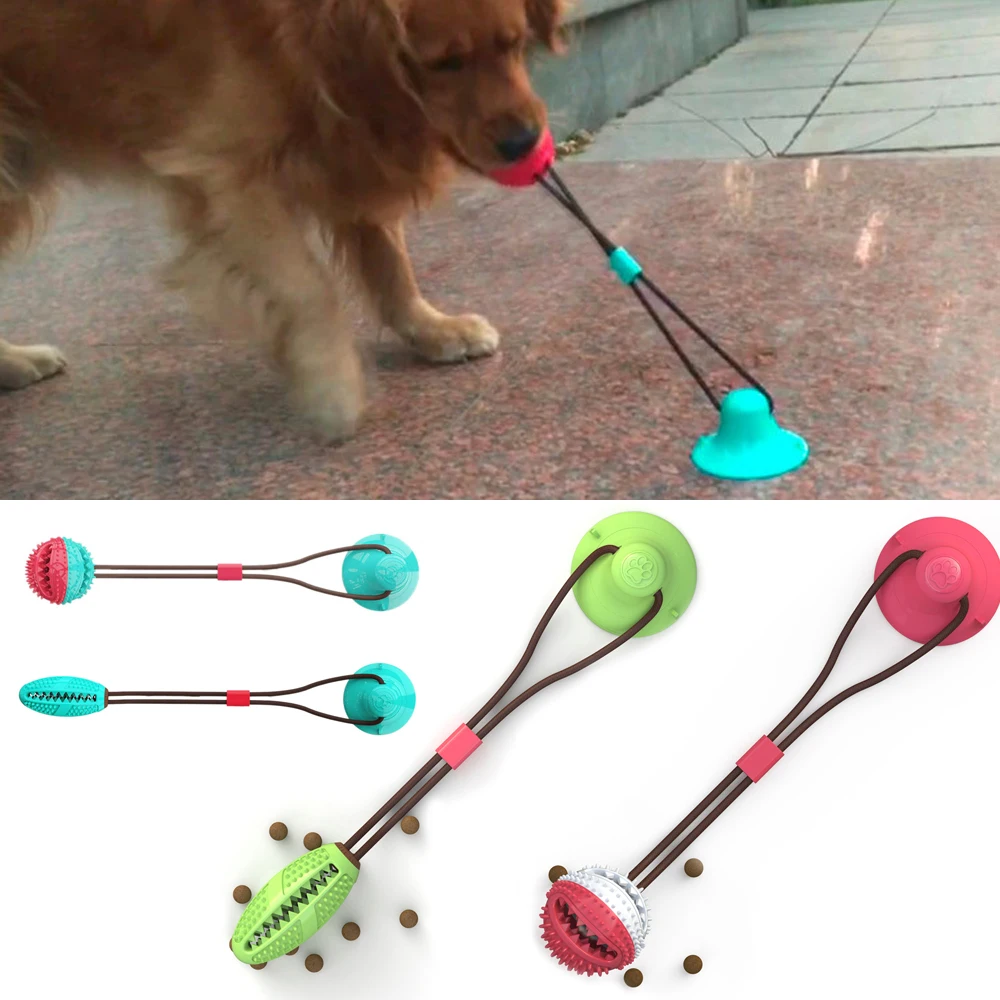 suction cup ball for dogs