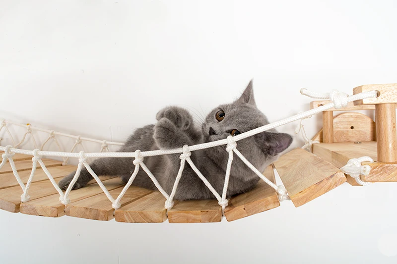 O1CN014eOxat1vWUF8lm3E4_!!462886180