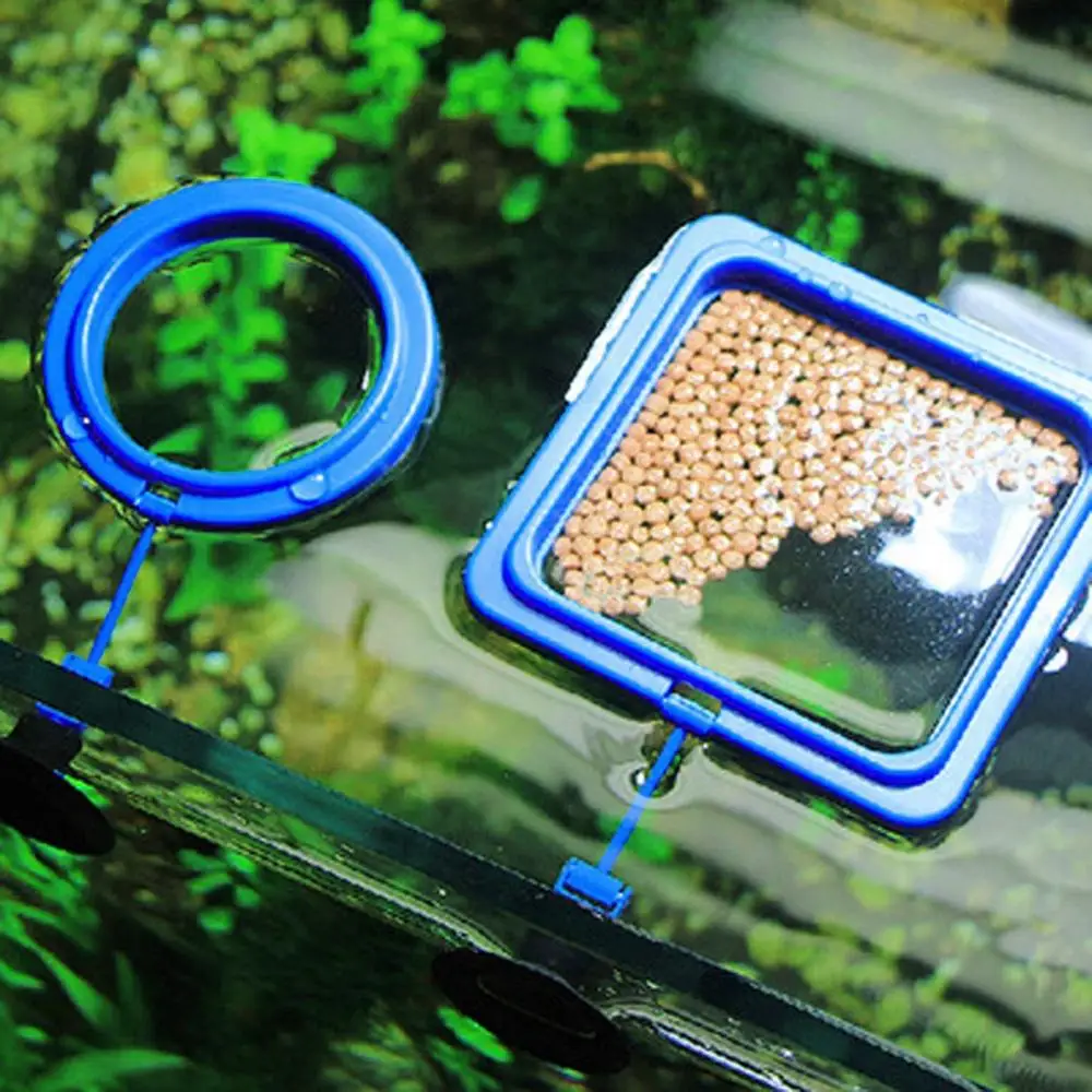 

Fish Food Ring Aquarium Fish Tank Small Type Tropical Suction Cup Fish Feeder Feeding Ring Round Square Aquarium Accessories