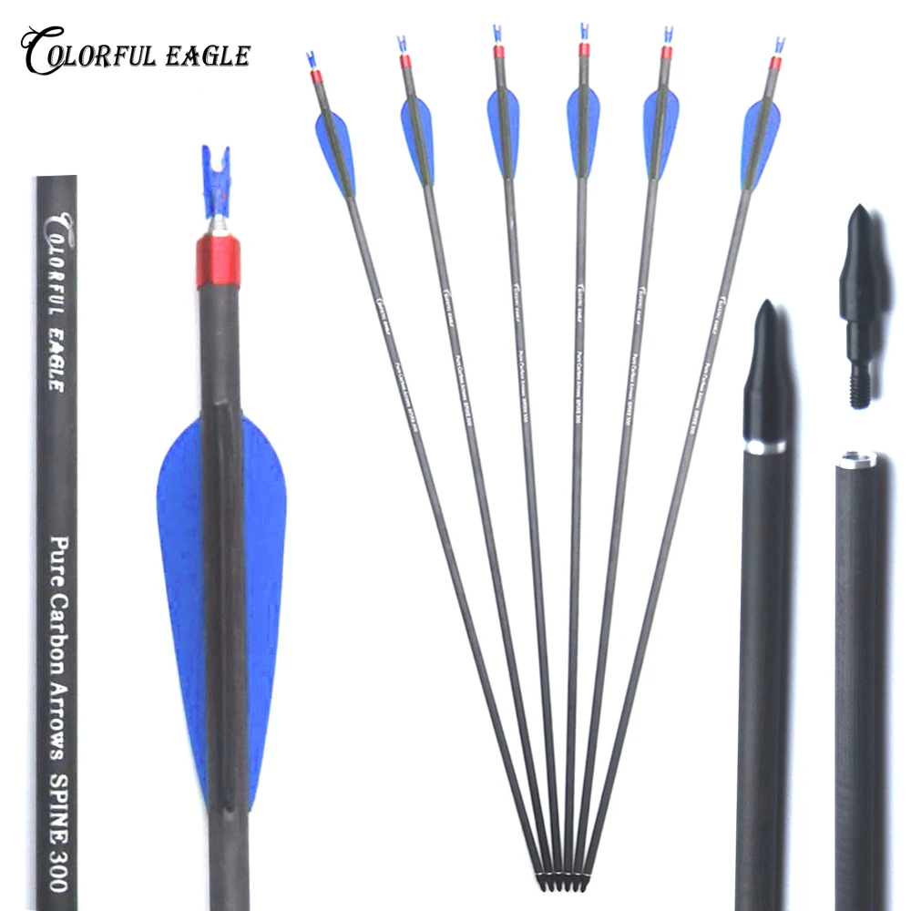 6/12/24pcs Archery Shooting 28" 30" 31" Pure Carbon Arrows Spine 300