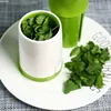 Spice grinder parsley  chopper fruit and vegetable chopper garlic coriander spice easy to use grinder WJ10261 ► Photo 3/6