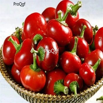 

Ngryise 3000pcs red cherry shape Capsicum