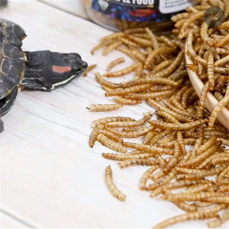 搜狗截图19年09月26日1923_4