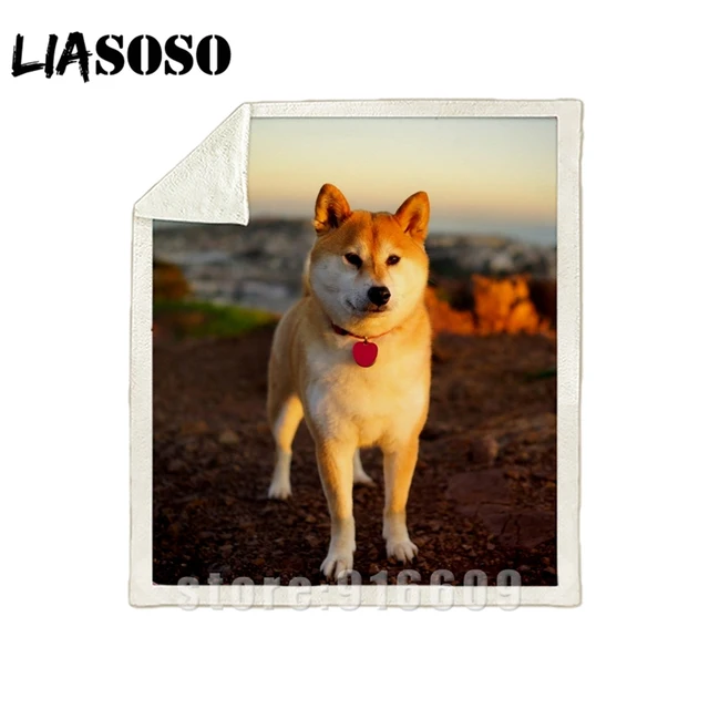 3d Print Sofa Bedding Patterned Office Harajuku Winter Shiba Inu Dog Blanket Cute Doge Bedspread Baby Travel Soft Outing Quilt T Shirts Aliexpress 3d Print Sofa Bedding Patterned Office Harajuku Winter Shiba Inu Dog Blanket Cute Doge Bedspread Baby Travel Soft Outing Quilt T Shirts Aliexpress