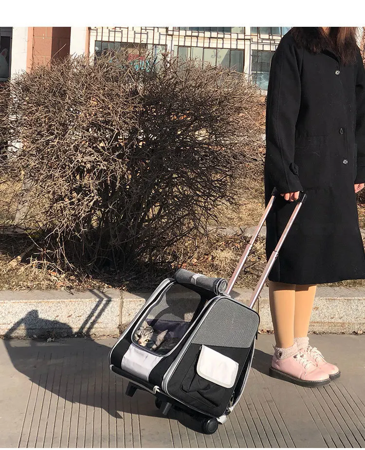 Открытый полюсный ящик для собак и собак, переносная коробка для перевозки домашних животных, большая дорожная сумка для домашних животных, рюкзак на плечо для кошек, дорожная сумка для собак