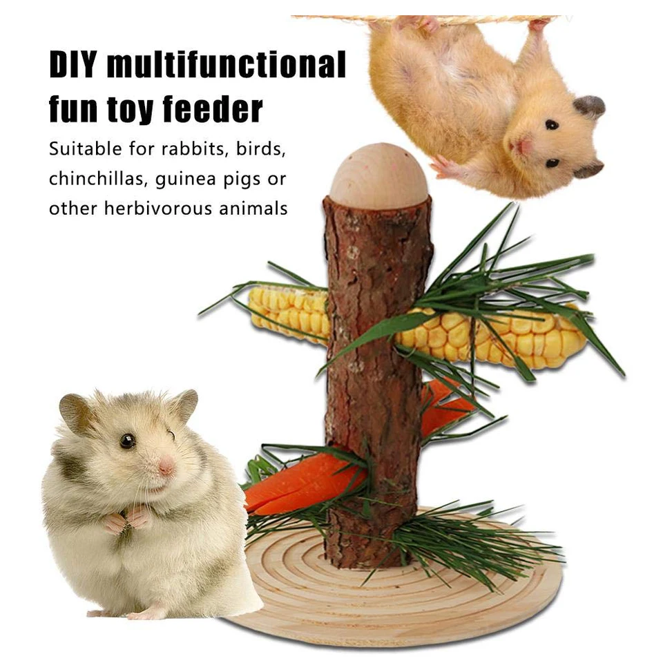 Stand Multifunctional Wooden Rack Guinea Pig Straw Portable Diy