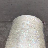 Hot 500g Natural Summer Ice Silk Beautiful Shiny Colorful Sequin Yarn for Knitting DIY Fancy Crochet Weaving Sewing Thread X5230 1