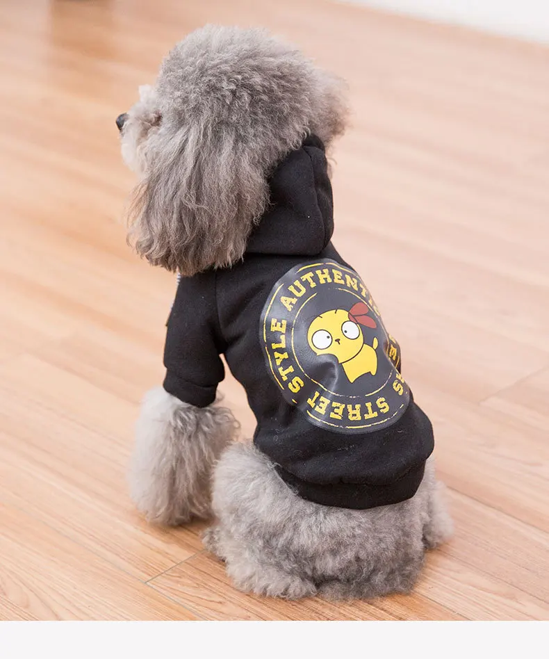teddy bear sweater for dogs