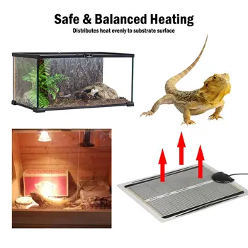 

Reptiles Heat Mat Warm Heating Pads 5-35W Adjustable Temperature Controller Heating Mat Heater Reptiles Supplies 2020 Hot