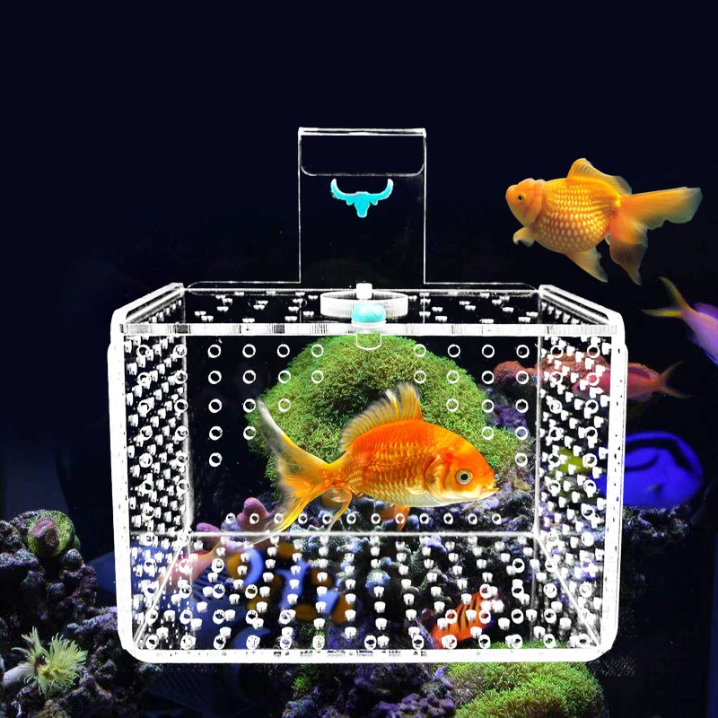 Aquarium Incubator Transparent Acylic Fish Tank Isolation Box Small Fry Breeding Box Aquatic Pet Supplies (hole Dia. 1mm/3mm) fish breeding box
