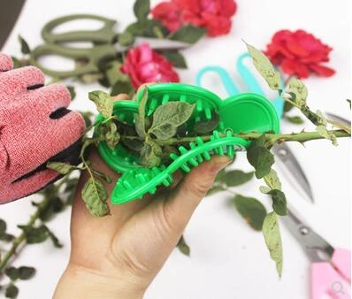 Rose Geser Bunga Perbaikan Alat Untuk Duri Mawar Alat Alat Duri Alat Untuk Thorn Harta Karun Menusuk Tahan Sarung Tangan Alat Pemangkasan Alat Aliexpress