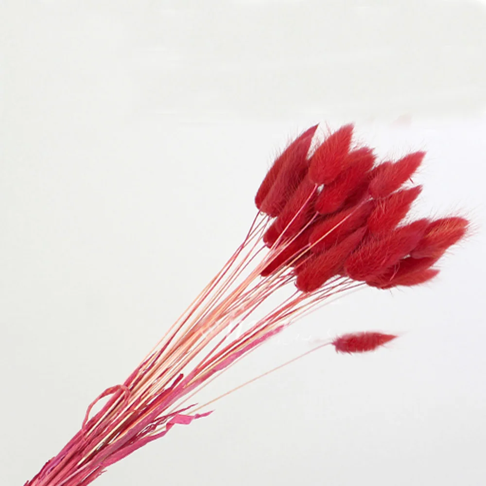 50pcs red color 50 шт. сушеные натуральные Цветочные букеты сырой цвет lagunus ovatus букеты& Uraria picta& raw цвет кроличий хвост трава букеты грозди - Цвет: 50pcs red color