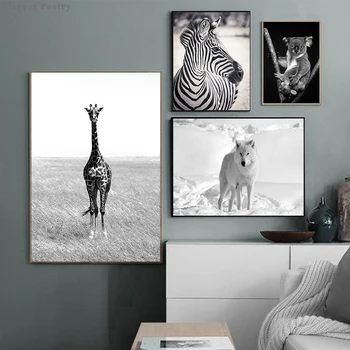 

Giraffe Wolf Zebra Koala Animal Wall Art Poster Black White Picture in Retro Style Print Decorative Painting Modern Home Decor