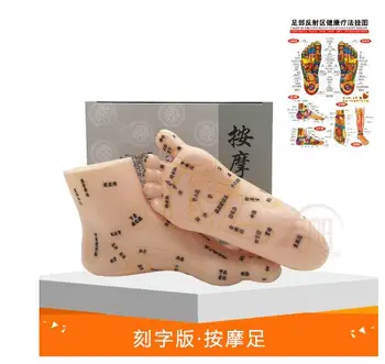 

19cm Foot Reflex Zone Massage Model, Not Acupuncture Model, Foot Massage Model Chinese Language Feet Reflexology,1 Pair Medical