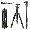 Walkingway Aluminum Protable Q666 Professional Travel Camera Tripod Monopod Ball Head&Phone Holder for DSLR Smartphone Video ► Photo 1/6