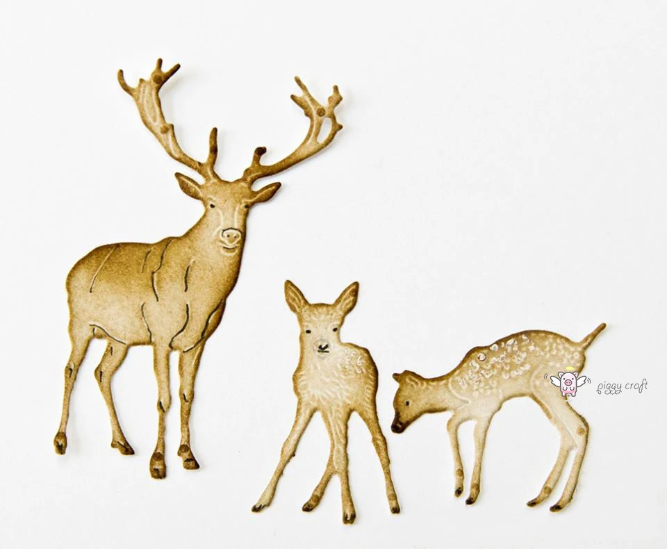 74798028_2639072732848285_8436833447577649152_o