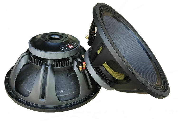 magnet speaker 18 inch