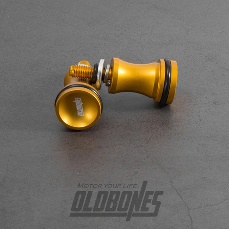 for triumph T100 motorcycle