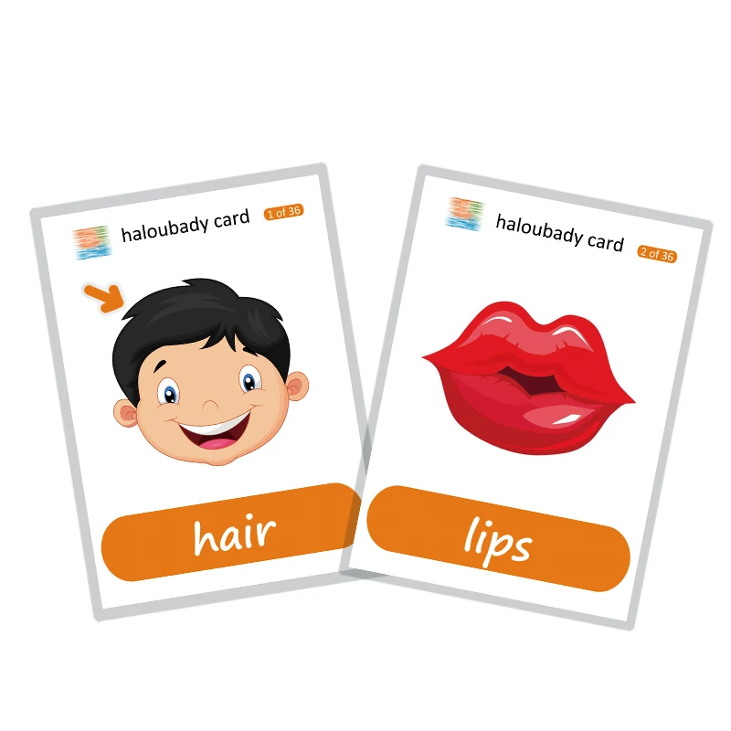 Learning English Word Card 36pcs Pack Body Parts Flash Cards For