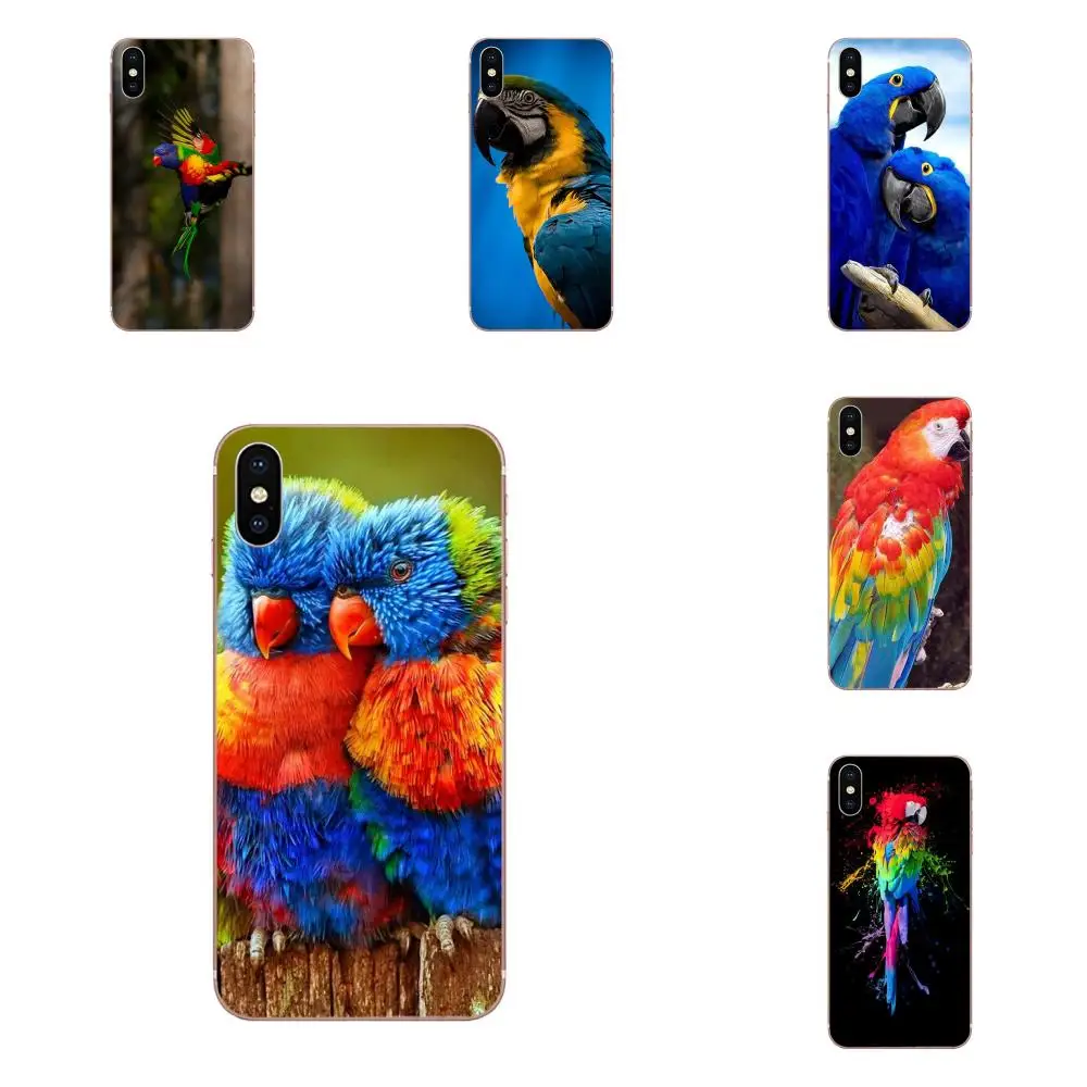 

For Galaxy Alpha Note 10 Pro A10 A20 A20E A30 A40 A50 A60 A70 A80 A90 M10 M20 M30 M40 Soft Phone Cases Covers Rainbow Parrot
